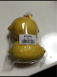 ＪＡえひめ　国産レモン　小袋
