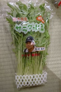 ＫＯＣ　特別栽培宮崎さんのサラダ水菜　１００ｇのレビュー画像