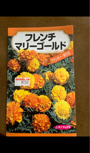日本農産　フレンチマリーゴールド　１Ｐのレビュー画像