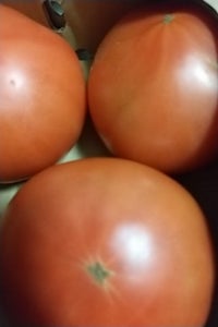 ＪＡようてい　ようていトマト　１ｋｇのレビュー画像