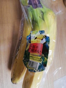 ワールドフルーツ　バナナ　至福の味わい　エクアドルのレビュー画像