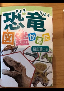 日本パール加工　かるた恐竜図鑑のレビュー画像