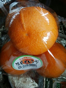 ヨドヤ　和歌山県産清美オレンジ袋　１Ｐのレビュー画像