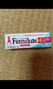 フェミルテクリーム　５ｇの商品写真