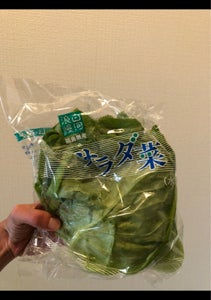 ＪＡ白河　サラダ菜　１００ｇのレビュー画像