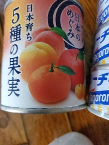 日本のめぐみフルーツ缶詰　５種の果実　２１５ｇ