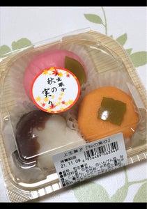 千葉恵製菓　上生菓子『秋の実り』　３個のレビュー画像