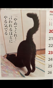 ２２カレンダー　６　猫川柳週めくりのレビュー画像