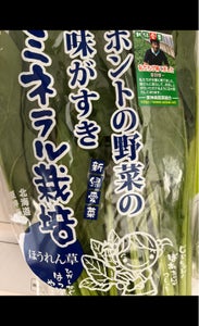 東神楽蔬菜組　新緑愛菜ホウレンソウ　２００ｇのレビュー画像