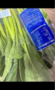 遠州中央　ときめきベジタ　小松菜　２００ｇのレビュー画像