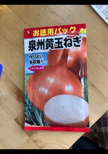 日本農産　泉州黄玉葱（徳用）　１Ｐのレビュー画像
