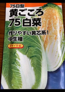 日本農産　黄ごころ７５日白菜　１Ｐのレビュー画像