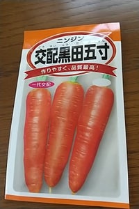 日農　４００円野菜種子のレビュー画像