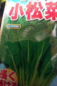 ＲＨＬＦ　作りやすい小松菜のレビュー画像