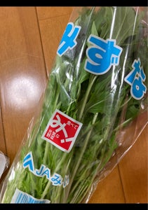 JA福岡　水菜のレビュー画像