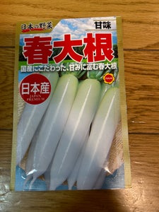アタリヤ　日本の野菜甘味春大根　１Ｐのレビュー画像