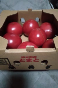 熊果　トマト　１ｋｇのレビュー画像