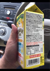 日東紅茶　レモネードベース　４８０ｍｌの商品写真