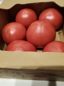 ＪＡ兵庫六甲　ゆめファームトマト　小箱のレビュー画像