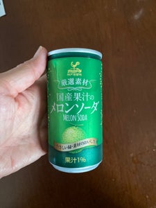 神戸居留地　国産果汁メロンソーダ　１８５ｍｌのレビュー画像
