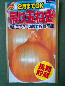 アタリヤ　２月までＯＫ吊り玉葱種野菜秋蒔のレビュー画像