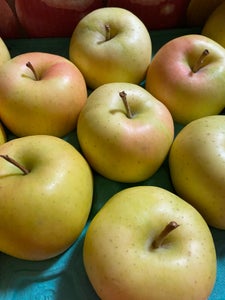 ドール　青森県産りんご　トキ　２．８ｋｇの商品写真