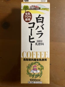 大山　白バラコーヒー　１０００ｍｌのレビュー画像
