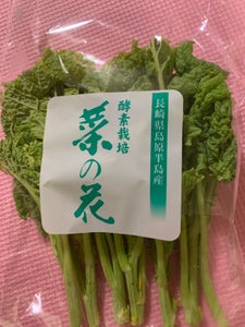 マルシン　長崎産菜の花のレビュー画像