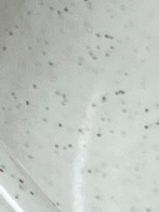 ナカヤ化学産業　ラメル　湯桶　ホワイトのレビュー画像