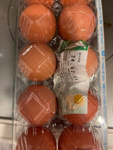 大阪パッケージ　タマゴ卵卵黄　１０個のレビュー画像