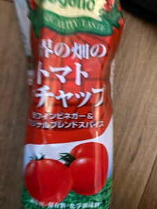 ナガノトマト　世界の畑のトマトケチャップ　５００ｇのレビュー画像
