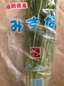 JA福岡　水菜のレビュー画像