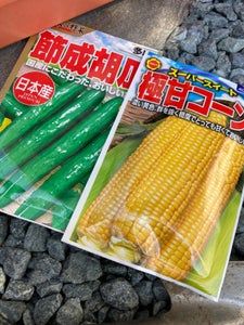 アタリヤ　日本の野菜多収節成胡瓜　１Ｐのレビュー画像