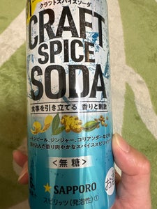 サッポロ　クラフトスパイスソーダ　缶　５００ｍｌのレビュー画像
