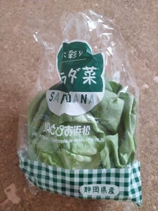JAとぴあ浜松　サラダ菜　袋　１個のレビュー画像