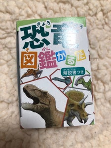 日本パール加工　かるた恐竜図鑑
