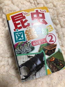 日本パール加工　昆虫図鑑かるたのレビュー画像