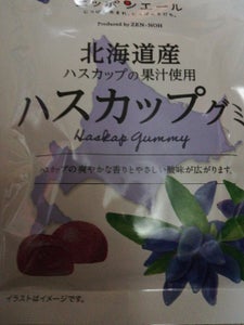 ニッポンエール　北海道産ハスカップグミ　４０ｇの商品写真