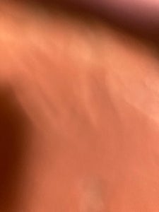 健翔　国内産椎茸スライス　２０ｇのレビュー画像