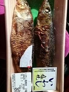 エィペックス いわしの塩焼き 2尾