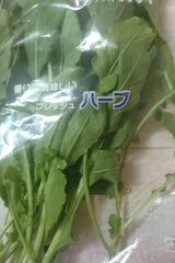 カズサ ロケットサラダ 20g