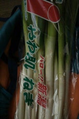 JA新潟 ねぎ 1kg