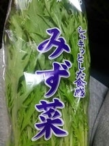 太洋 さいかつ京みず菜