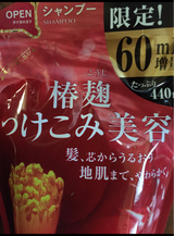 ツバキ モイスト SP 替 増量