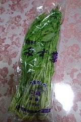 岩井中央 みずな 1P