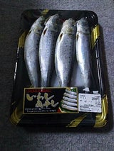 岡田 いわし丸干し 2尾