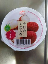 マルハニチロ 今日のくだものライチ&アロエ250g