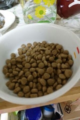 SG F&Pプラスライト肥満関節ケア用 800g