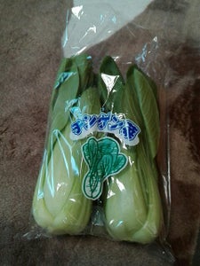 商品イメージ
