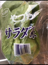 JA埼玉 埼玉産 サラダ菜